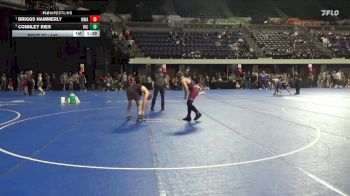 140 lbs 5th Place Match - Briggs Hammerly, Moen Wrestling Academy vs Connley Ries, Riceville