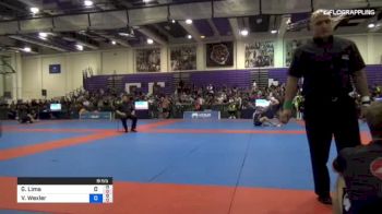 Gabrielle Lima vs Vanessa Wexler 2018 Pan Jiu-Jitsu IBJJF No Gi Championship