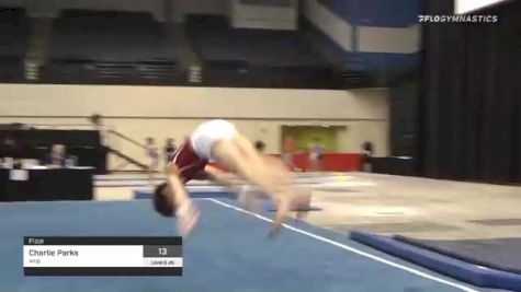 Charlie Parks - Floor, amp - 2021 USA Gymnastics Development Program National Championships