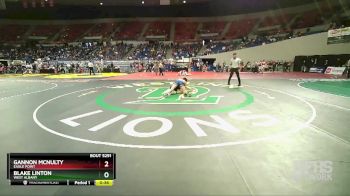 5A-138 lbs Cons. Round 3 - Blake Linton, West Albany vs Gannon McNulty, Eagle Point