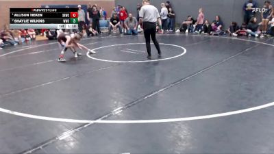 69 lbs Round 3 - Allison Tieken, Snake River Wrestling Club vs Shaylie Wilkins, Weiser Wrestling Club