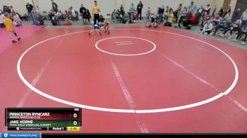 43 lbs Cons. Round 1 - Jake Horne, Texas Eagle Wrestling Academy vs Princeton Ryncarz, Mission Wrestling Club