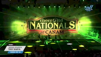 Jaguar Athletics - TINY MAFIA [2023 L1 Tiny - D2] 2023 CANAM Grand Nationals