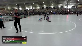 73 lbs Round 1 - Zoey Sparkman, Wildcats Wrestling vs Aislynn Fanguy, Stars Wrestling
