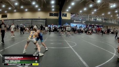 80 lbs Round 2 (4 Team) - Adam Haugenbach, Warhawks Wrestling vs Troy Migliaccio, Junior Terps Xtreme