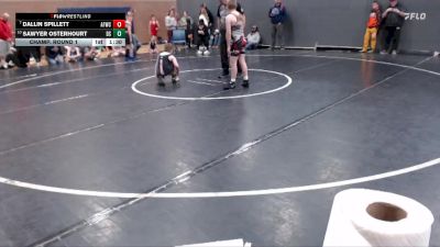 105 lbs Champ. Round 1 - Dallin Spillett, American Falls Wrestling Club vs Sawyer Osterhourt, Declo Stingers