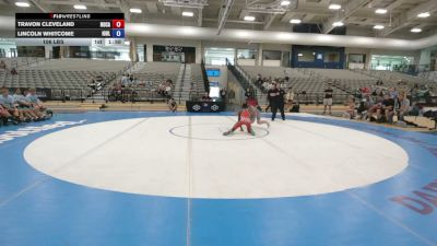 113 lbs Travon Cleveland, North Carolina vs Lincoln Whitcome, Iowa Blue