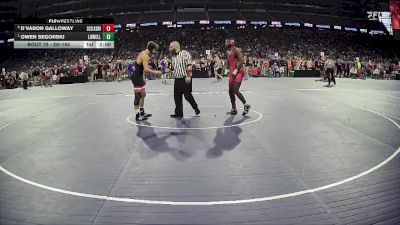 D2-165 lbs Champ. Round 1 - Owen Segorski, Lowell HS vs D`varon Galloway, Lake Shore HS (St Clair Shores)