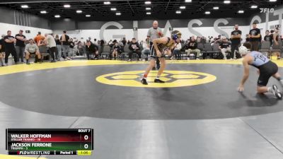 90 lbs Round 3 (6 Team) - Walker Hoffman, Steller Trained vs Jackson Ferrone, Triumph