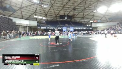 77 lbs Cons. Round 5 - Julian Kellems, Toro World Club vs Lincoln Birkeland, Tahoma Jr. Bears Wrestling Club