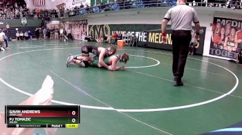 150 lbs Champ. Round 2 - PJ Tomazic, Solon vs Gavin Andrews, Avon Lake