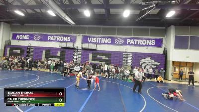 75 lbs Cons. Round 4 - Teagan Thomas, Roy Wrestling Club vs Caleb Thornock, Bruin Wrestling Club