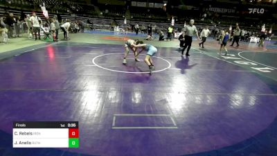 98 lbs Final - Cole Rebels, Iron Horse vs Jack Anello, Ruthless WC