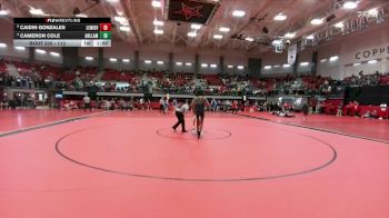 113 lbs Cons. Round 2 - Cameron Cole, Arlington Lamar vs Caidin Gonzales, Lewisville