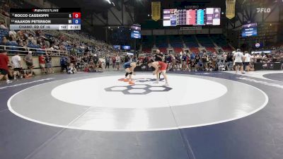 144 lbs Champ. Rd Of 16 - Rocco Cassioppi, IL vs Haakon Peterson, WI