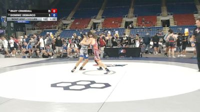 113 lbs Champ. Rd Of 16 - Riley Crandall, Pennsylvania vs Dominic DeMarco, Illinois