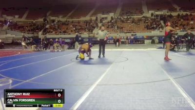 D1-285 lbs Quarterfinal - Calvin Forsgren, Mesa vs Anthony Ruiz, Liberty