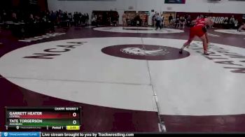157 lbs Champ. Round 1 - Garrett Heater, Central vs Tate Torgerson, Augsburg