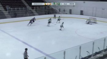 Replay: Home - 2025 Calgary Royals vs Okotoks Oilers | Jan 25 @ 1 PM