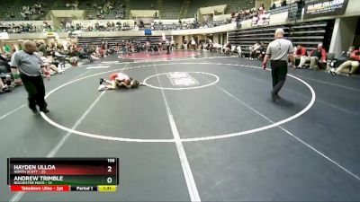 106 lbs Finals (8 Team) - Andrew Trimble, Rochester Mayo vs Hayden Ulloa, North Scott