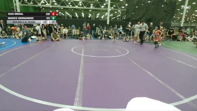 72 lbs Round 5 (6 Team) - Marco Hernandez, Steller Trained Bossk vs Jojo Medal, CTWHALE
