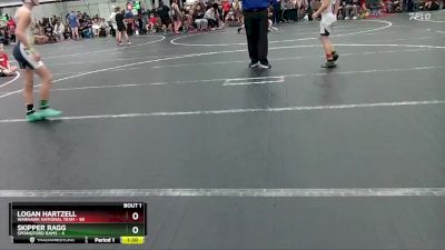 100 lbs Round 1 (4 Team) - Logan Hartzell, Warhawk National Team vs Skipper Ragg, Springford Rams