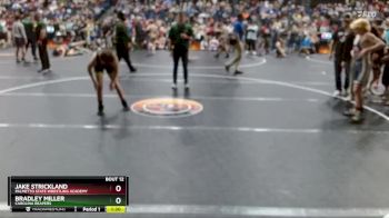 101 lbs Round 1 - Jake Strickland, Palmetto State Wrestling Academy vs Bradley Miller, Carolina Reapers