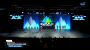 Dance Dynamics - Youth Elite Small Jazz [2025 Youth - Jazz - Small Finals] 2025 The Dance Summit