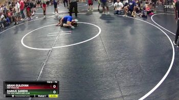 75 lbs Cons. Round 2 - Darius Saremi, Top Dog Wrestling Club vs Aram Guloyan, RED WAVE WC