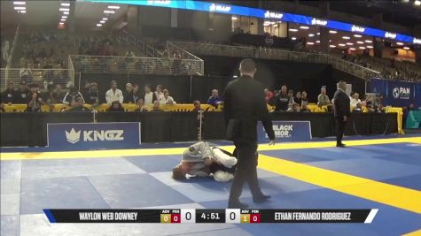 Waylon Web Downey vs Ethan Fernando Rodriguez 2025 Pan Jiu Jitsu IBJJF Championship
