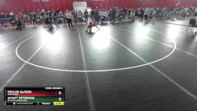 63 lbs Cons. Round 2 - Wyatt Peterson, DC Elite Wrestling vs Taylor Alfson, Wisconsin