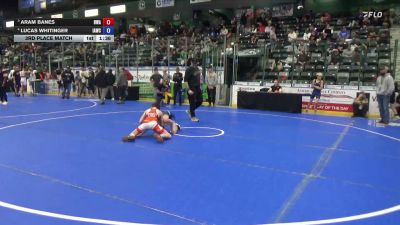 88 lbs 3rd Place Match - Aram Banes, Hawkeye Wrestling Academy vs Lucas Whitinger, Immortal Athletics Wrestling Club