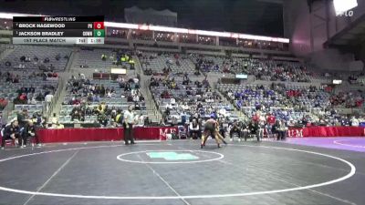 157 lbs 1st Place Match - Jackson Bradley, Cowan vs Brock Hagewood, Prairie Heights