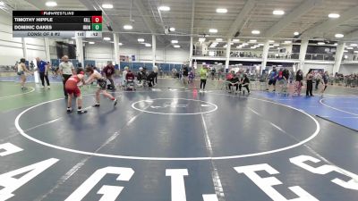 111 lbs Consi Of 8 #2 - Timothy Hipple, Killingly vs Dominic Oakes, Iron Faith WC