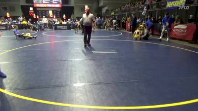 88 lbs Semifinal - BriâElla Collins, Canon-McMillan vs Braelyn Briar, Shippensburg