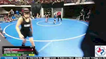 83 lbs Quarterfinal - Braden Hurley, Gracie Barra Westchase Wrestling Club vs Aaron Rodriguez, Rise Wrestling