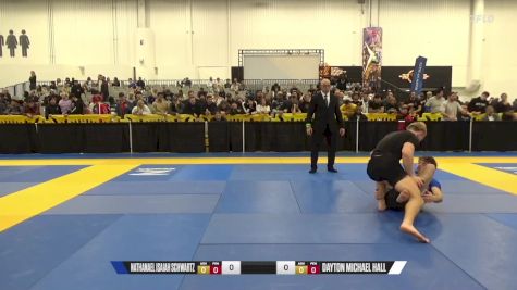 Dayton Michael Hall vs Nathanael Isaiah Schwartz 2024 World IBJJF Jiu-Jitsu No-Gi Championship