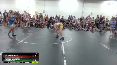 96 lbs Round 4 (6 Team) - Carter Watson, NY Hammers vs Jace Neborak, U2 Journeymen Uprising