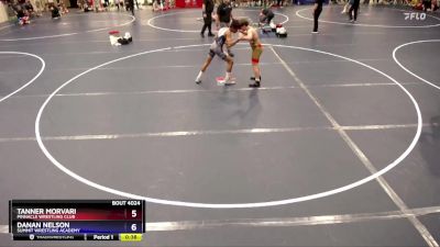 125 lbs Quarterfinal - Tanner Morvari, Pinnacle Wrestling Club vs Danan Nelson, Summit Wrestling Academy