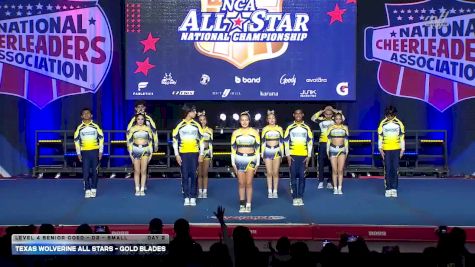 Texas Wolverine All Stars - Gold Blades [2026 L4 Senior Coed - D2 - Small Day 2] 2026 NCA All-Star National Championship