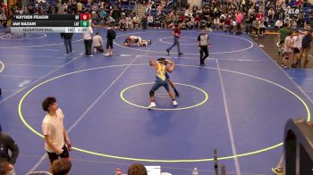 138 lbs Quarterfinal - Kayden Feagin, Niagara Falls vs Jan Nazari, Lafayette