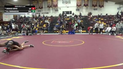 132 lbs Cons. Round 4 - Adaias Ortiz, Lake Highland Prep vs P.j. Terranova, Delbarton