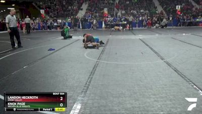 110 lbs Semifinal - Knox Page, Wichita Blue Knights vs Landon Heckroth, Smoky Valley