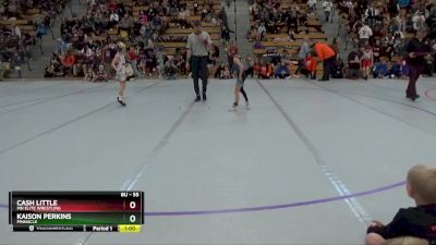 55 lbs Quarterfinal - Kaison Perkins, Pinnacle vs Cash Little, MN Elite Wrestling