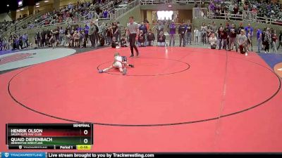 45 lbs Semifinal - Henrik Olson, Salem Elite Mat Club vs Quaid Diefenbach, Hermiston Wrestling