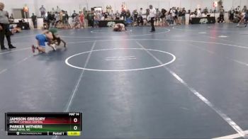 119 lbs Champ. Round 3 - Jamison Gregory, Detroit Catholic Central vs Parker Withers, Front Royal WC