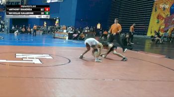 132 lbs Quarterfinal - Nicholas Salamone, Easton Area Hs vs Anthony DiAndrea, Watchung Hills