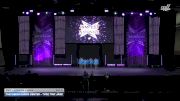 The Vision Dance Center - TVDC Tiny Jazz [2026 Tiny - Premier - Jazz Day 2] 2026 JAMfest Dance Super Nationals