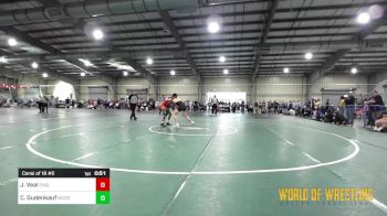 125 lbs Consi Of 16 #2 - Jayden Veal, Englewood Live Wire vs Croix Gudenkauf, McDominate Training Center