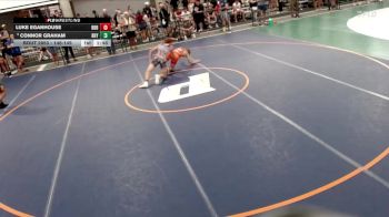 146-149 lbs Champ. Round 1 - Connor Graham, Metamora vs Luke Eganhouse, Normal Community High School